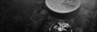 Header image for Bar Lunatico