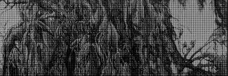 Header image for Marten Visser