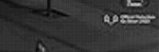 Header image for Firat Yucel