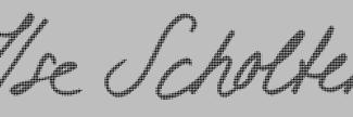 Header image for Ilse Scholten