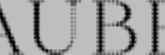 Header image for Nina Hauben