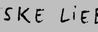 Header image for Jetske Lieber