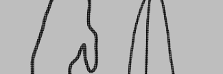 Header image for Chris Westendorp