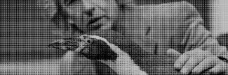 Header image for Cinema Paradiso Baden