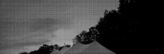Header image for The River Cabin