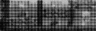 Header image for May Twenty Fourth