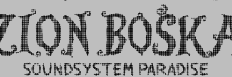 Header image for Zion Boska Festival