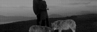 Header image for Biennale Son