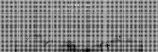 Header image for Myrte van der Molen