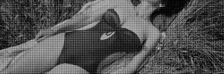 Header image for Centre d'art Gwinzegal