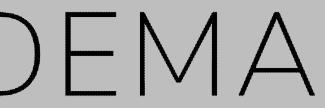 Header image for Maya Frodeman Gallery