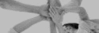 Header image for Salle Michel-Berger