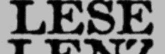Header image for Hausacher LeseLenz
