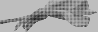 Header image for Leonie Brandner