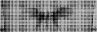 Header image for Wout Zweers