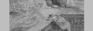 Header image for Inez Ishizaki