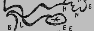 Header image for Daphne Bleeker
