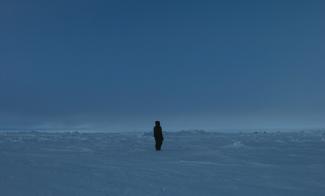 A lone person stands in the arctic evening