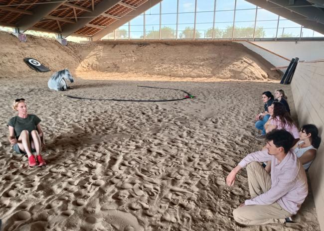 A group of people sitting in a riding arena listening to a woman spekaing with a horse laying in the sand in the background