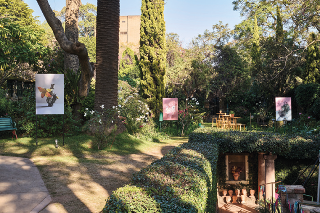 Garden with artwork exhibition