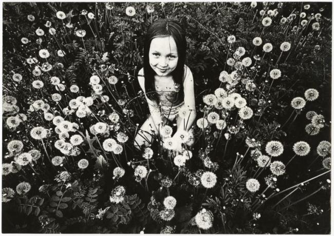 Untitled, from the series Wrong photography, 1986. Black-and-white photo of a young girl crouching among a dense field of dandelions, looking up at the camera with a slight smile. 