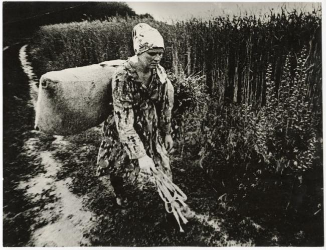 A black-and-white photograph of a person in a patterned coat and headscarf walking along a field path, carrying bundles of plants, with tall crops behind them. 