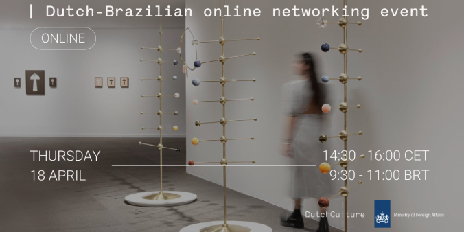 Dutch-Brazilian online networking event