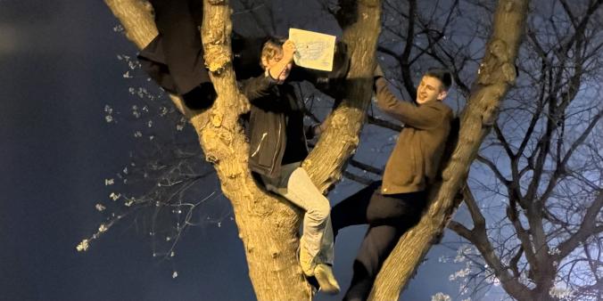 Hungary After the Election: Voices from the Cultural Field