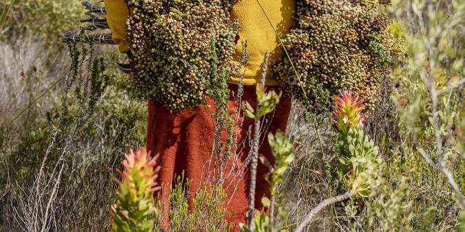 DutchCulture & Het Zuid-Afrikahuis Presents: Unlearning Knowledge Institutions
