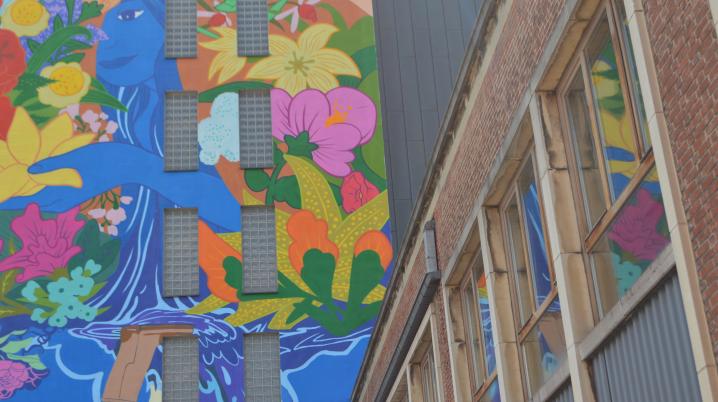 a colourful painting with flowers and water on the wall of a school in Charleroi, Belgium