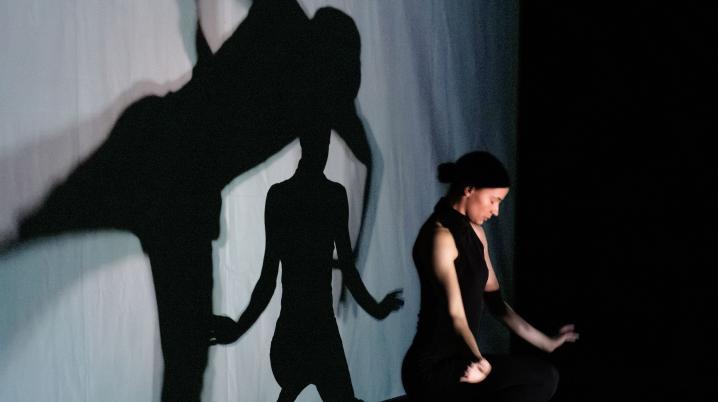 performance danser en twee schaduwen op muur