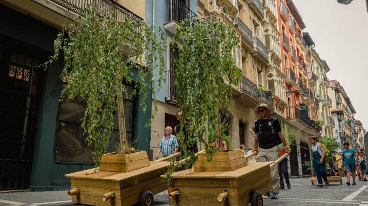 two men carrying birch trees in a spanish street