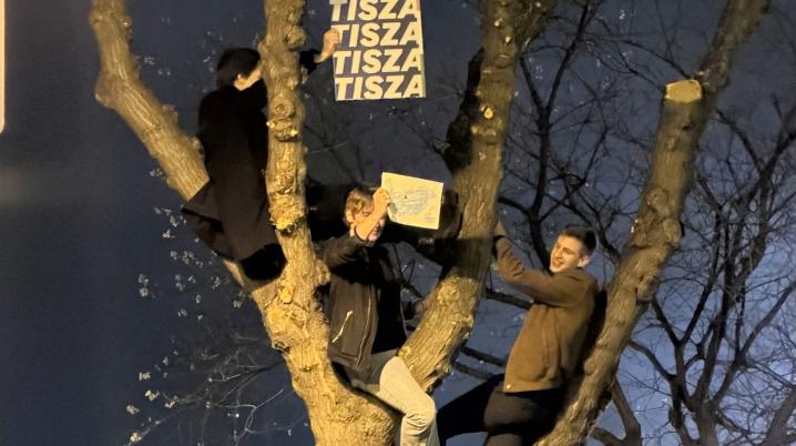 Three young men sitting on a tree, holding billboard of the Tisza party. 