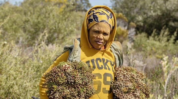 Woman in yellow and orange clothes with yellow painted face picking wildflowers